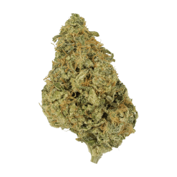 OG Lemon Haze | CannaCured Canada