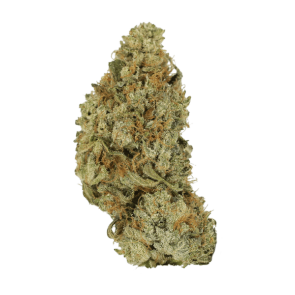 Pink Hawaiian | CannaCured Canada