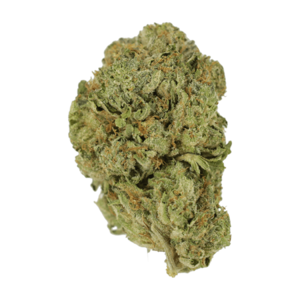 Super Blue Dream | CannaCured Canada