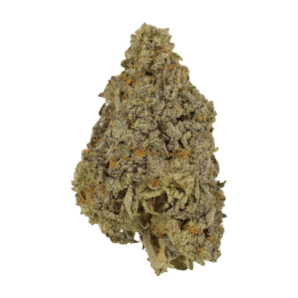 Frosty Gelato | CannaCured Canada
