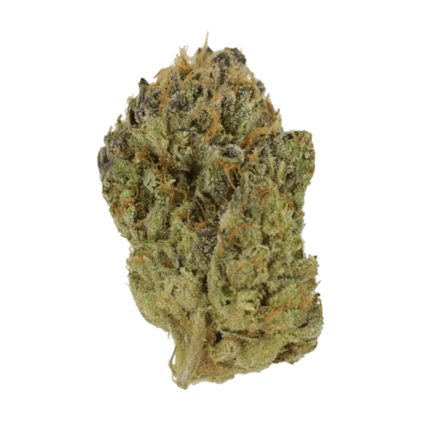 Blueberry Muffin | CannaCured Canada