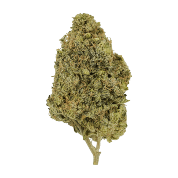 Blunicorn | CannaCured Canada