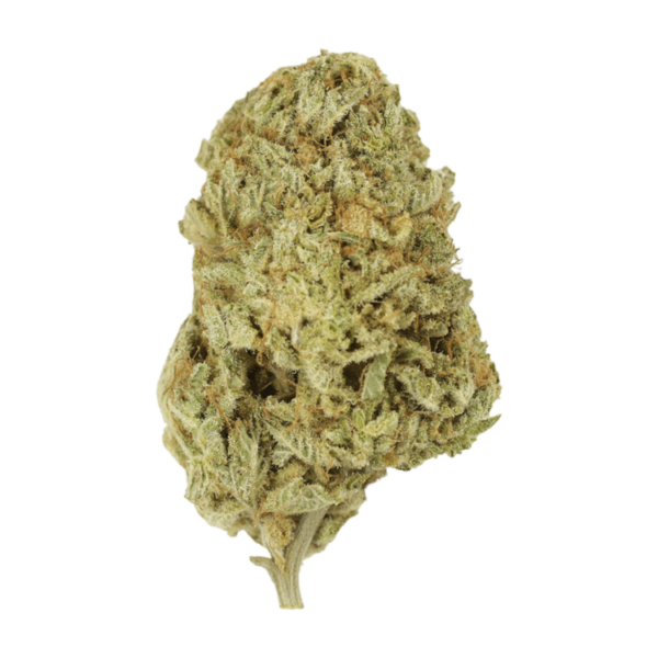 Face Mints | CannaCured Canada