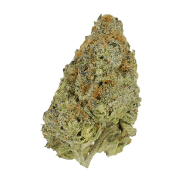 Lilac Diesel | CannaCured Canada