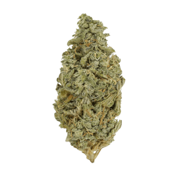 Orange Cookies | CannaCured Canada