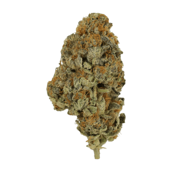 Key Lime Pie | CannaCured Canada