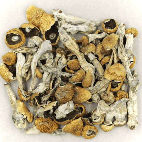 Orissa | CannaCured Canada