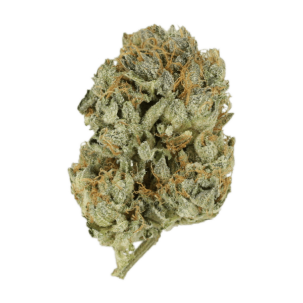 Kashmir Kush | CannaCured Canada