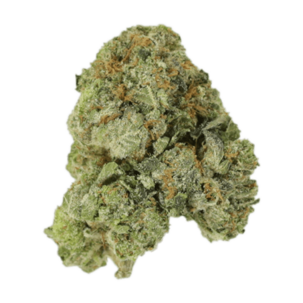 White Russian | CannaCured Canada