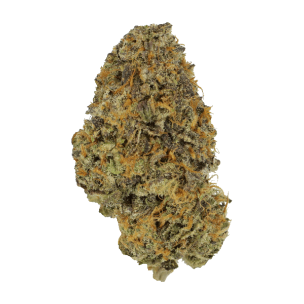 Blackberry Nightmare | CannaCured Canada