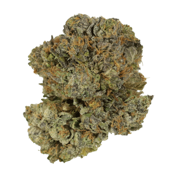 Chocolate Mint | CannaCured Canada