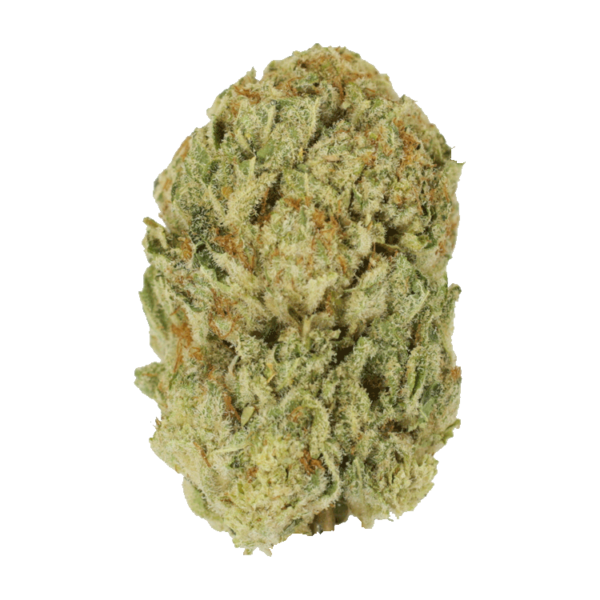 Trap Star | CannaCured Canada