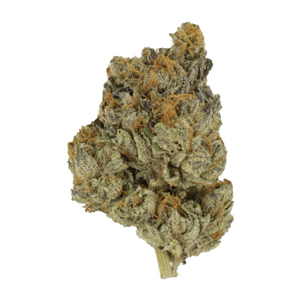 Divorce Cake | CannaCured Canada
