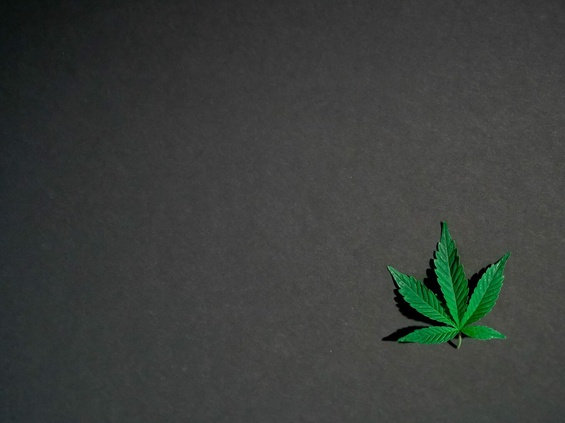 Hybrid - weed | CannaCured Canada
