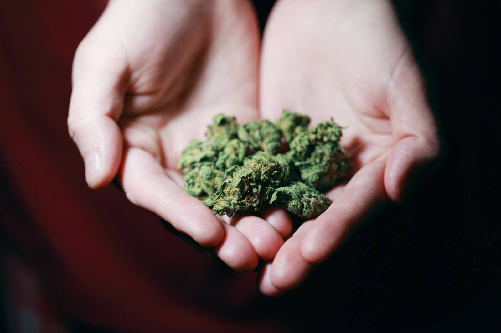 Best dispensary in canada | CannaCured Canada