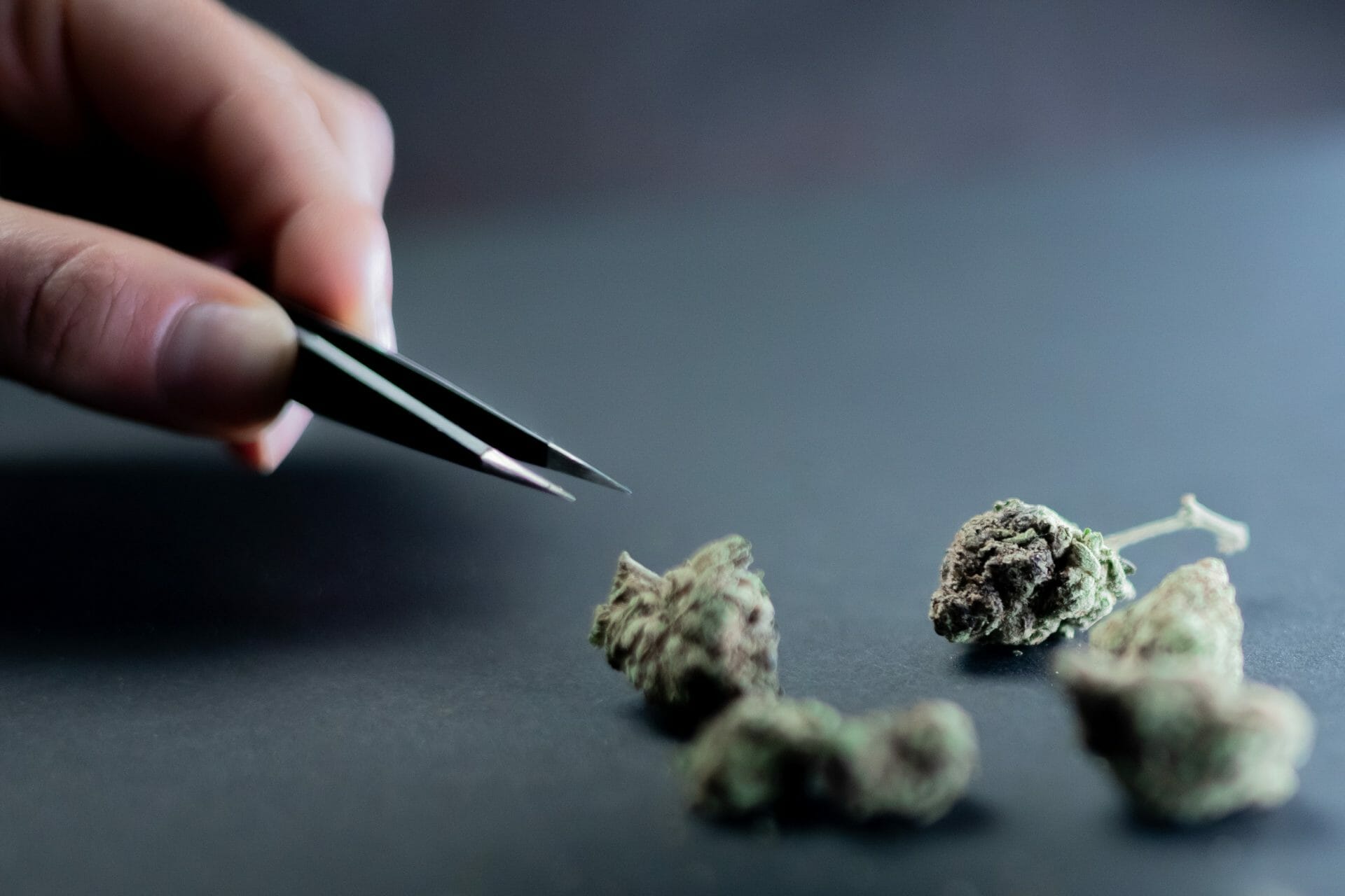 Buy cannabis Online Canada | CannaCured Canada
