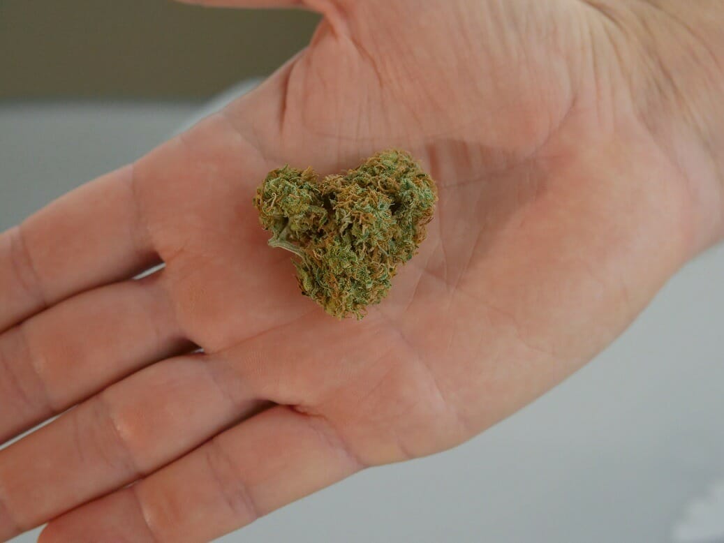cannabis marijuana Canada | CannaCured Canada