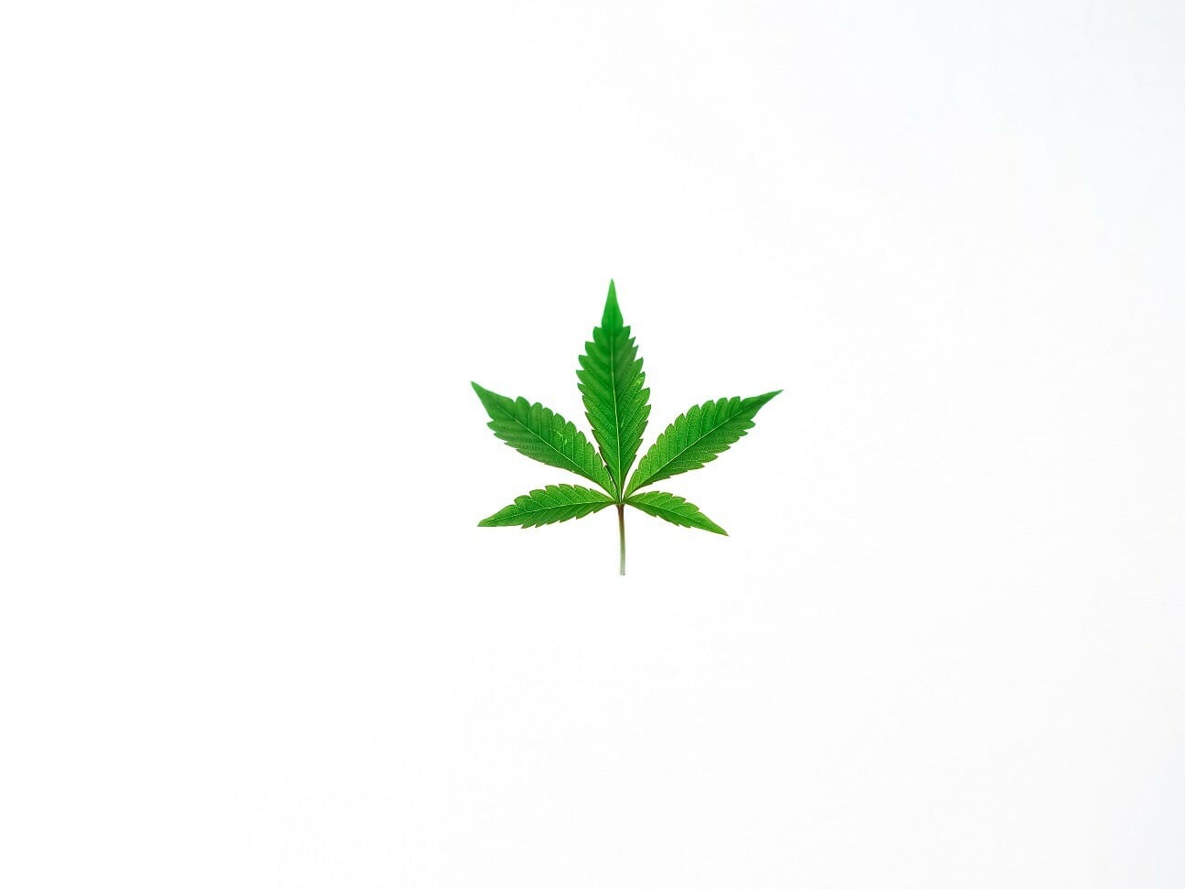 Benefits of Shopping in a BC cannabis Online Dispensary | CannaCured Canada