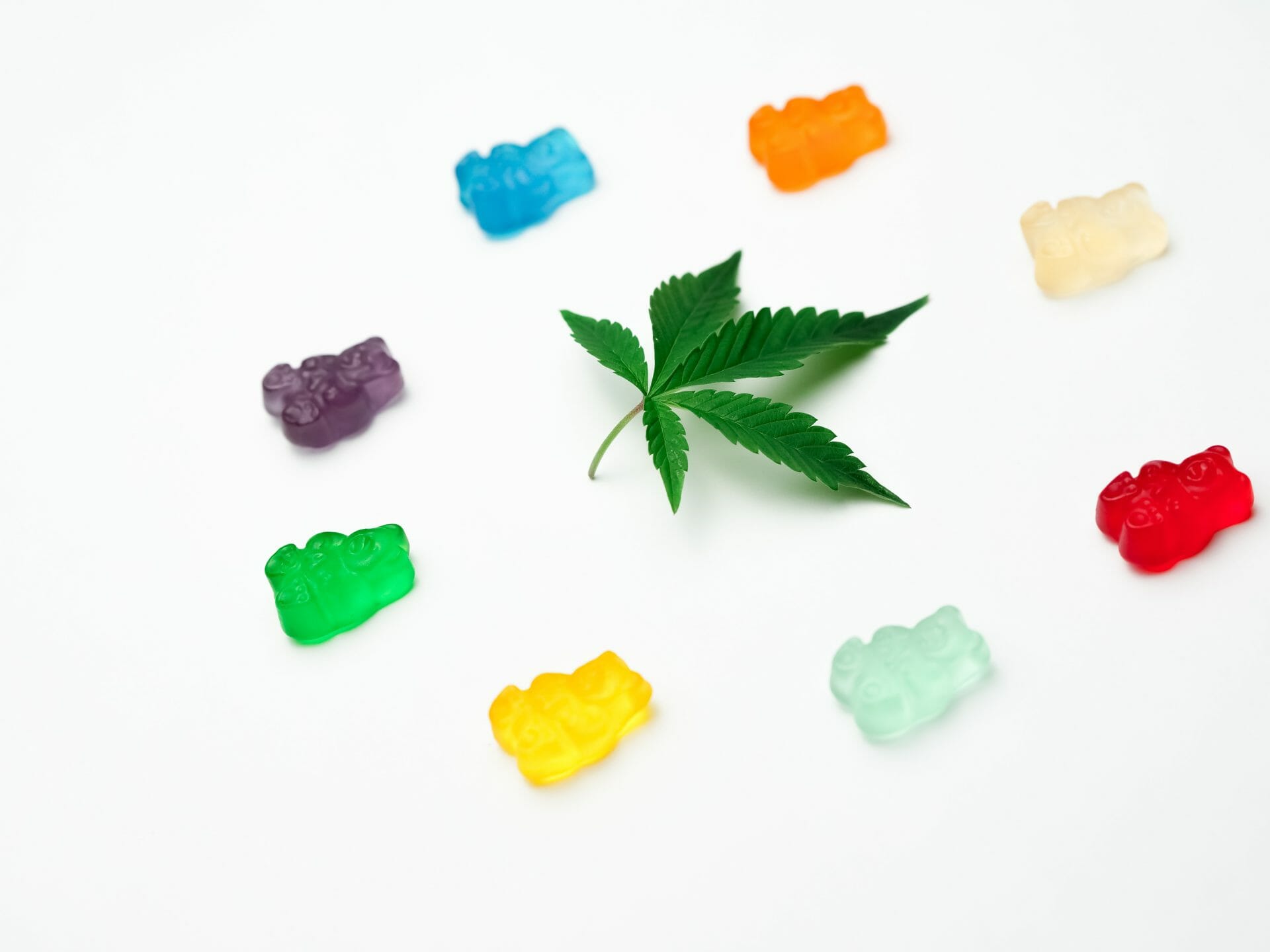 | CannaCured Canada Grasslife - cannabis Dispensaries | CannaCured Canada