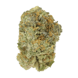 Slurricane | CannaCured Canada