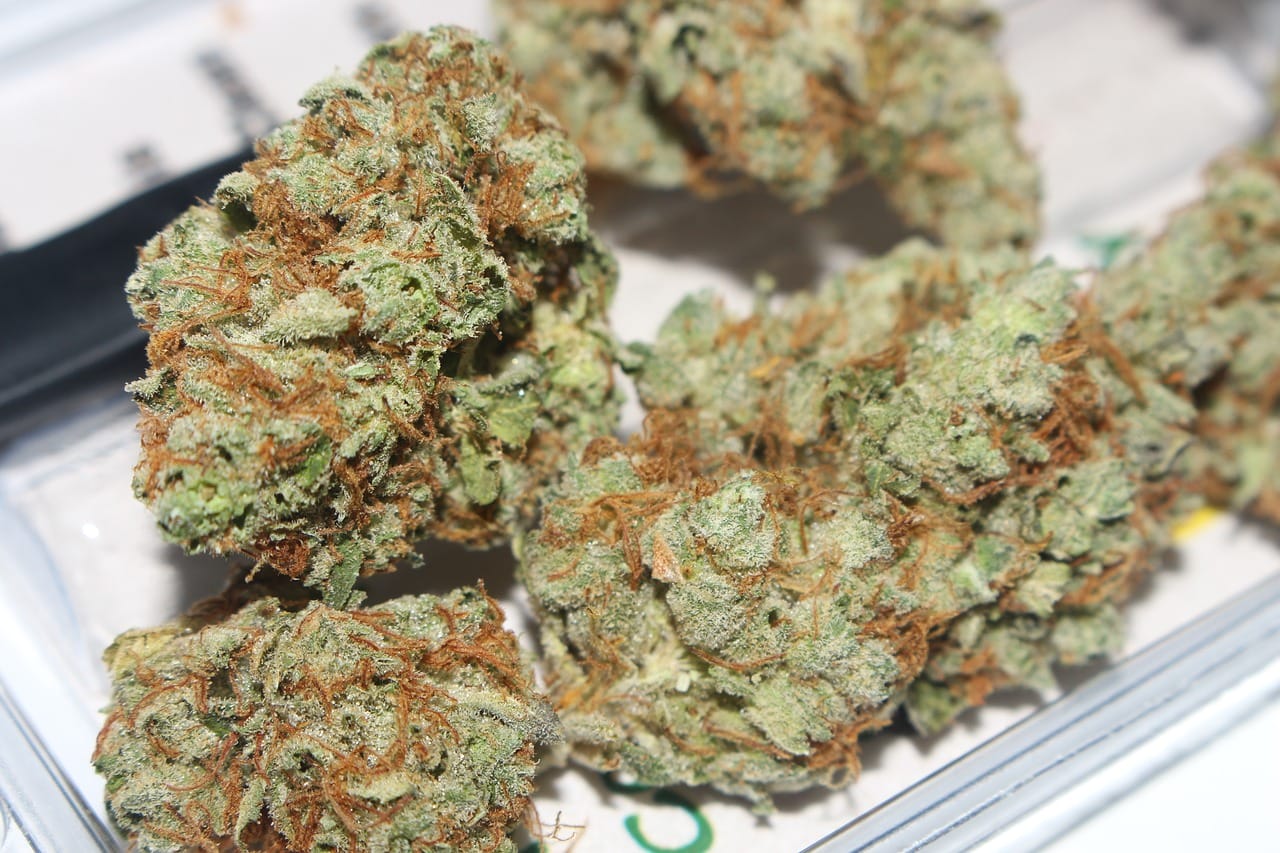 Hybrid cannabis Strains | CannaCured Canada