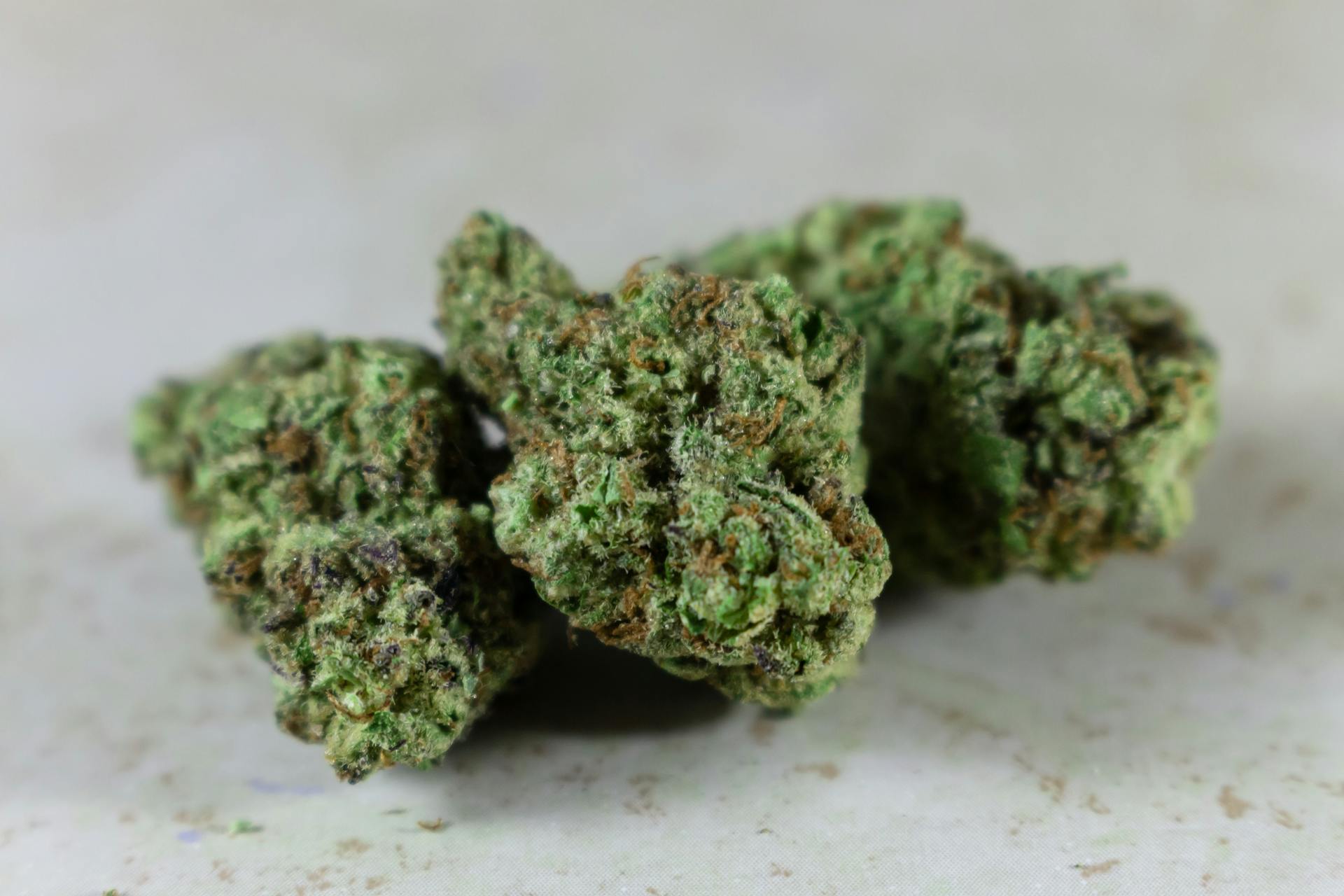 | CannaCured Canada Best Indica Online in Canada | CannaCured Canada