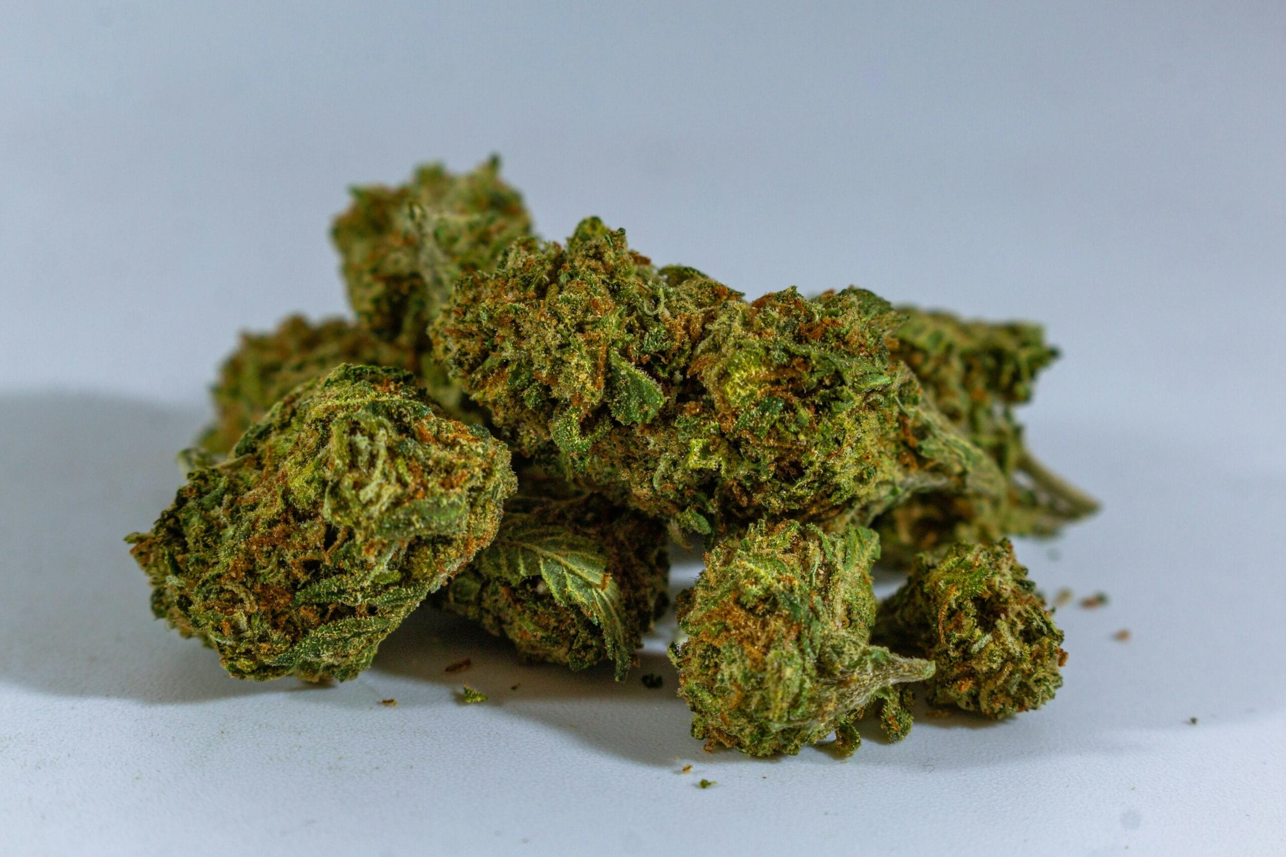 cheap-weed-online-canada | CannaCured Canada