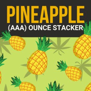 Pineapple 1 OZ Kit | CannaCured Canada